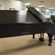 1899 One of a kind Steinway Concert Grand piano - Grand Pianos